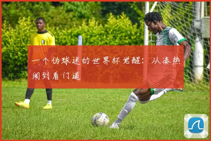 一个伪球迷的世界杯觉醒:从凑热闹到看门道