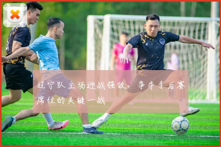 辽宁队主场迎战强敌，争夺季后赛席位的关键一战
