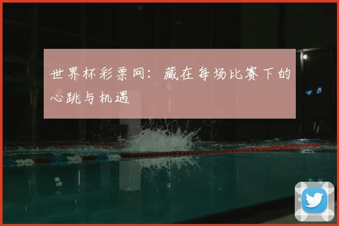 世界杯彩票网:藏在每场比赛下的心跳与机遇