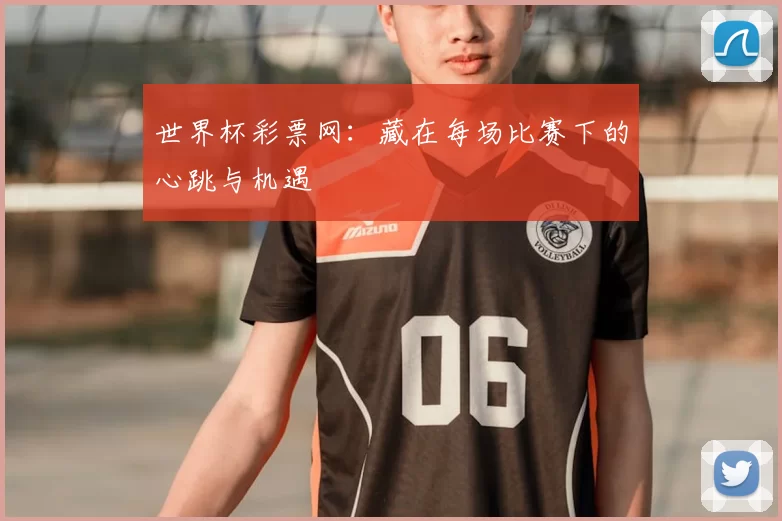 世界杯彩票网:藏在每场比赛下的心跳与机遇