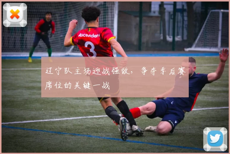 辽宁队主场迎战强敌，争夺季后赛席位的关键一战