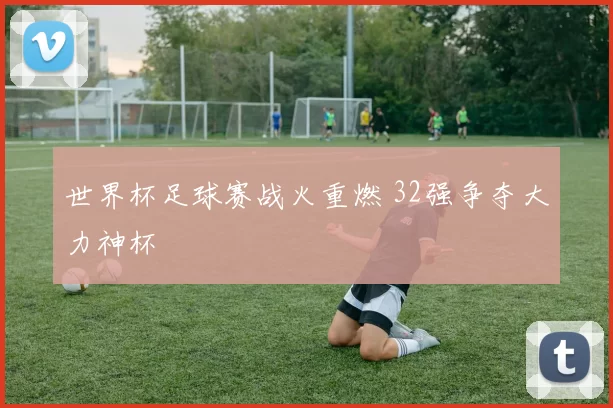 世界杯足球赛战火重燃 32强争夺大力神杯