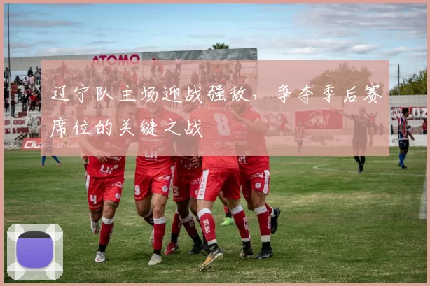 辽宁队主场迎战强敌，争夺季后赛席位的关键之战