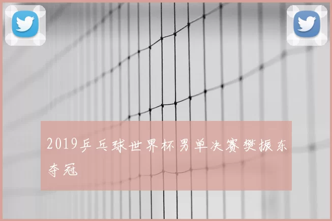2019乒乓球世界杯男单决赛樊振东夺冠