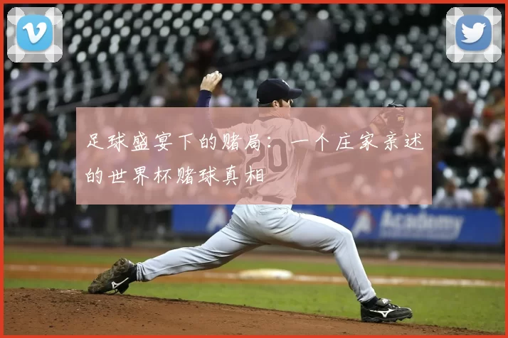 足球盛宴下的赌局：一个庄家亲述的世界杯赌球真相