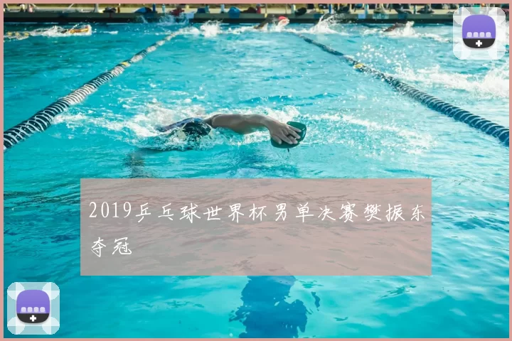 2019乒乓球世界杯男单决赛樊振东夺冠