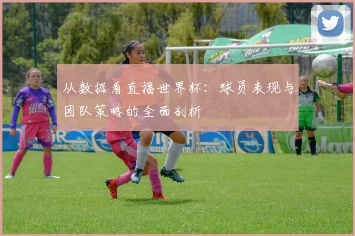 从数据看直播世界杯:球员表现与团队策略的全面剖析