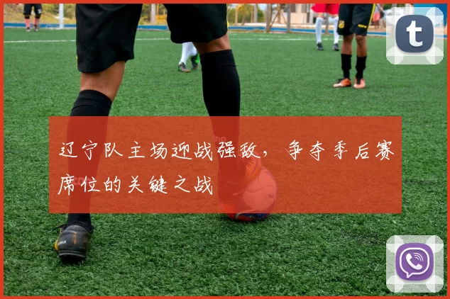 辽宁队主场迎战强敌，争夺季后赛席位的关键之战