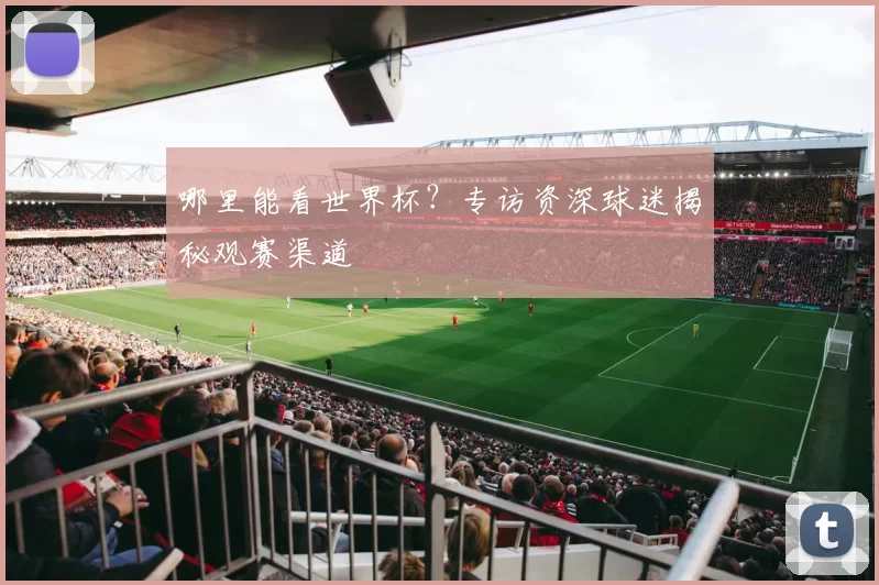 哪里能看世界杯？专访资深球迷揭秘观赛渠道