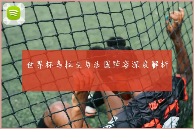 世界杯乌拉圭与法国阵容深度解析