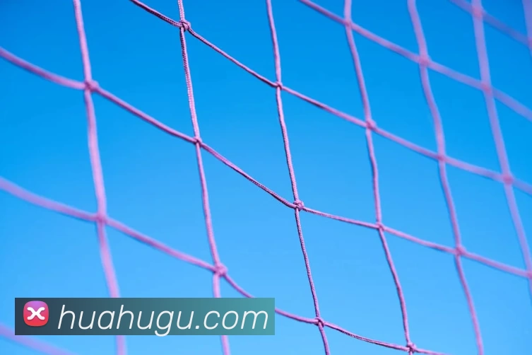 爱游戏平台生态图